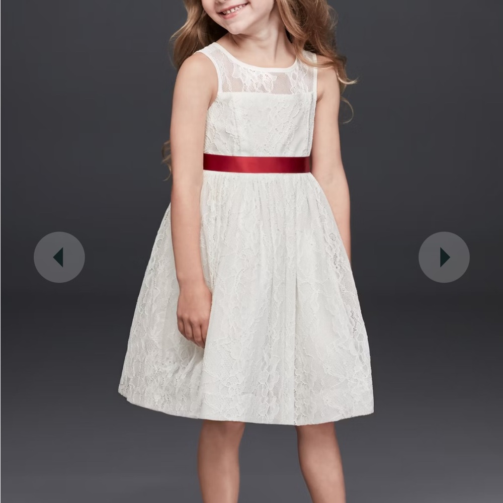 David’s Bridal Flower Girl Dress